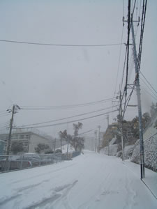 ★雪ですね〜★