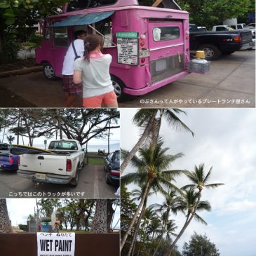 Maui パイア